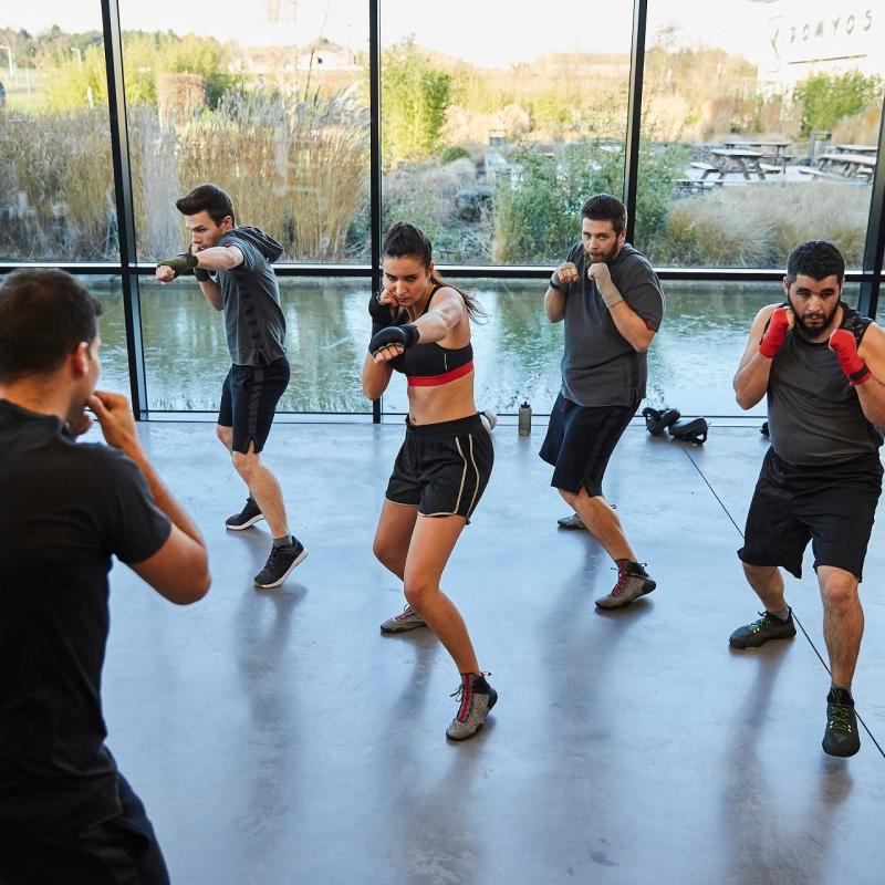 Fit Boxing